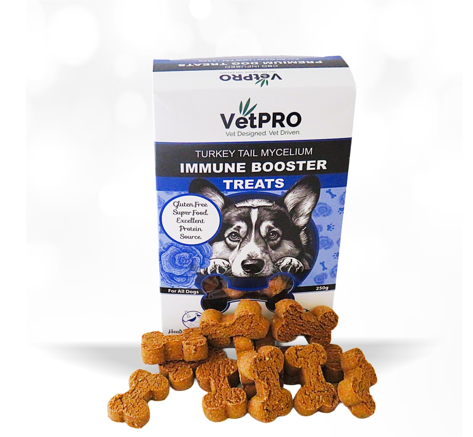 VetPro-Dog Biscuits – Mycelium Immune Boost