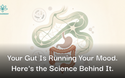 Your Gut Is Running Your Mood, Energy, and Focus – Here’s the Science