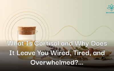 What Is Cortisol and Why Does It Leave You Wired, Tired, and Overwhelmed?